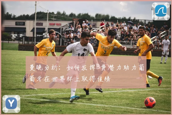 曼晚分析：如何发挥B费潜力助力葡萄牙在世界杯上取得佳绩