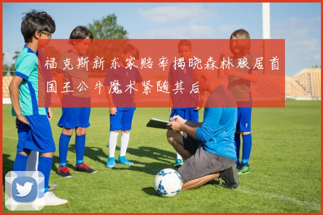 福克斯新东家赔率揭晓森林狼居首国王公牛魔术紧随其后