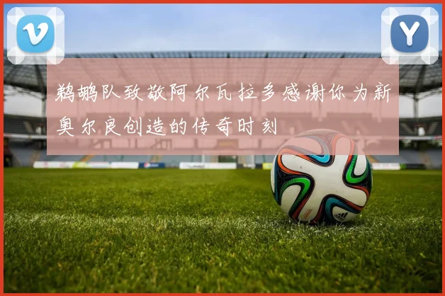 鹈鹕队致敬阿尔瓦拉多感谢你为新奥尔良创造的传奇时刻